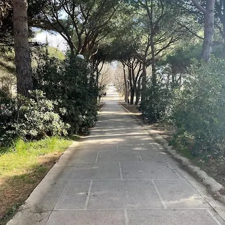 Chez Laurence - Elegant Climatise Avec Wifi Et Parking Apartamento